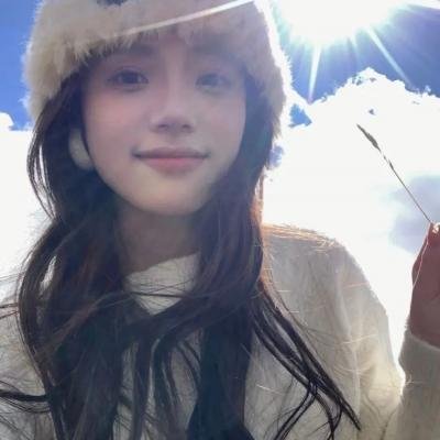 狗狗监护权
